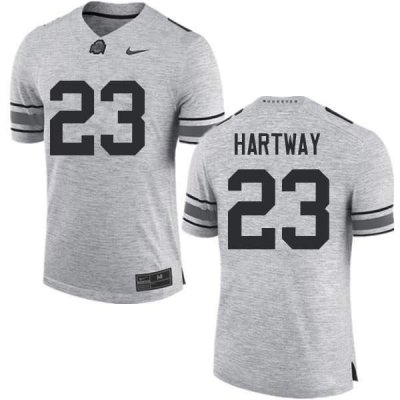 NCAA Ohio State Buckeyes Men's #23 Michael Hartway Gray Nike Football College Jersey YUT1245OW